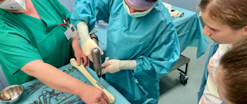 Klinikum Backstage Mitarbeitende erklären Interessierten die Tätigkeiten im OP